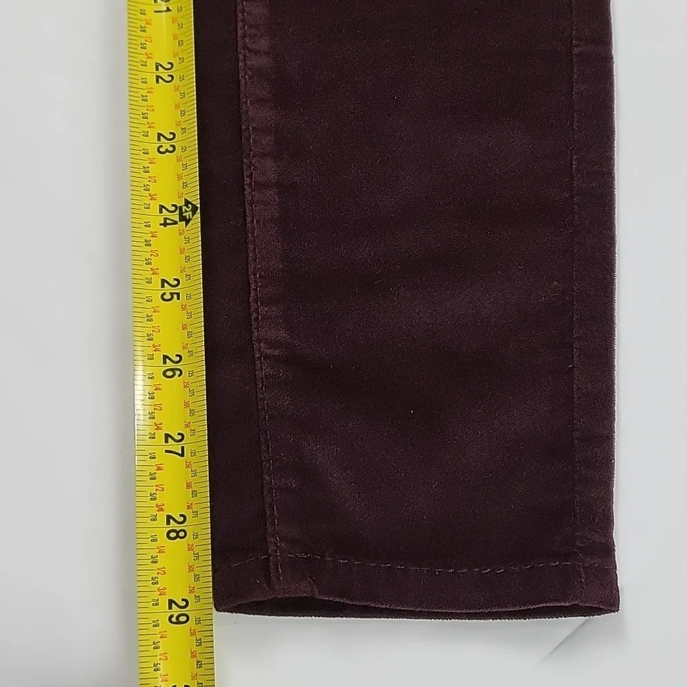 NWT Universal Thread Burgundy High Rise Velvet Velour Skinny Pant Jean